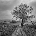 Odenwald (21mm) Januar 2019