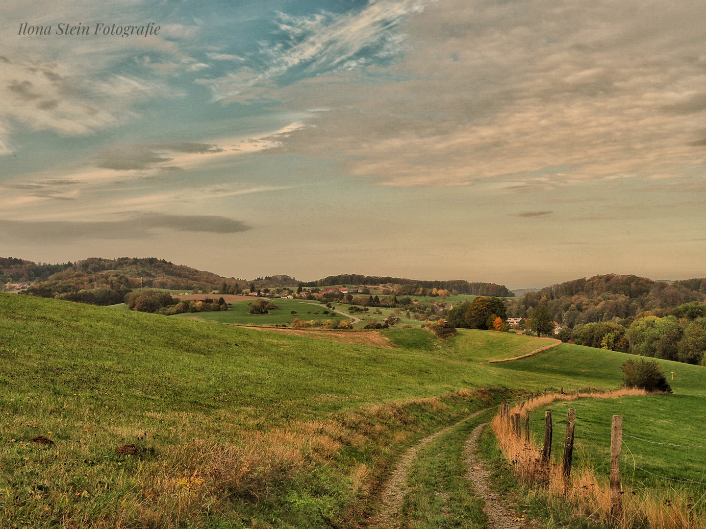  Odenwald 