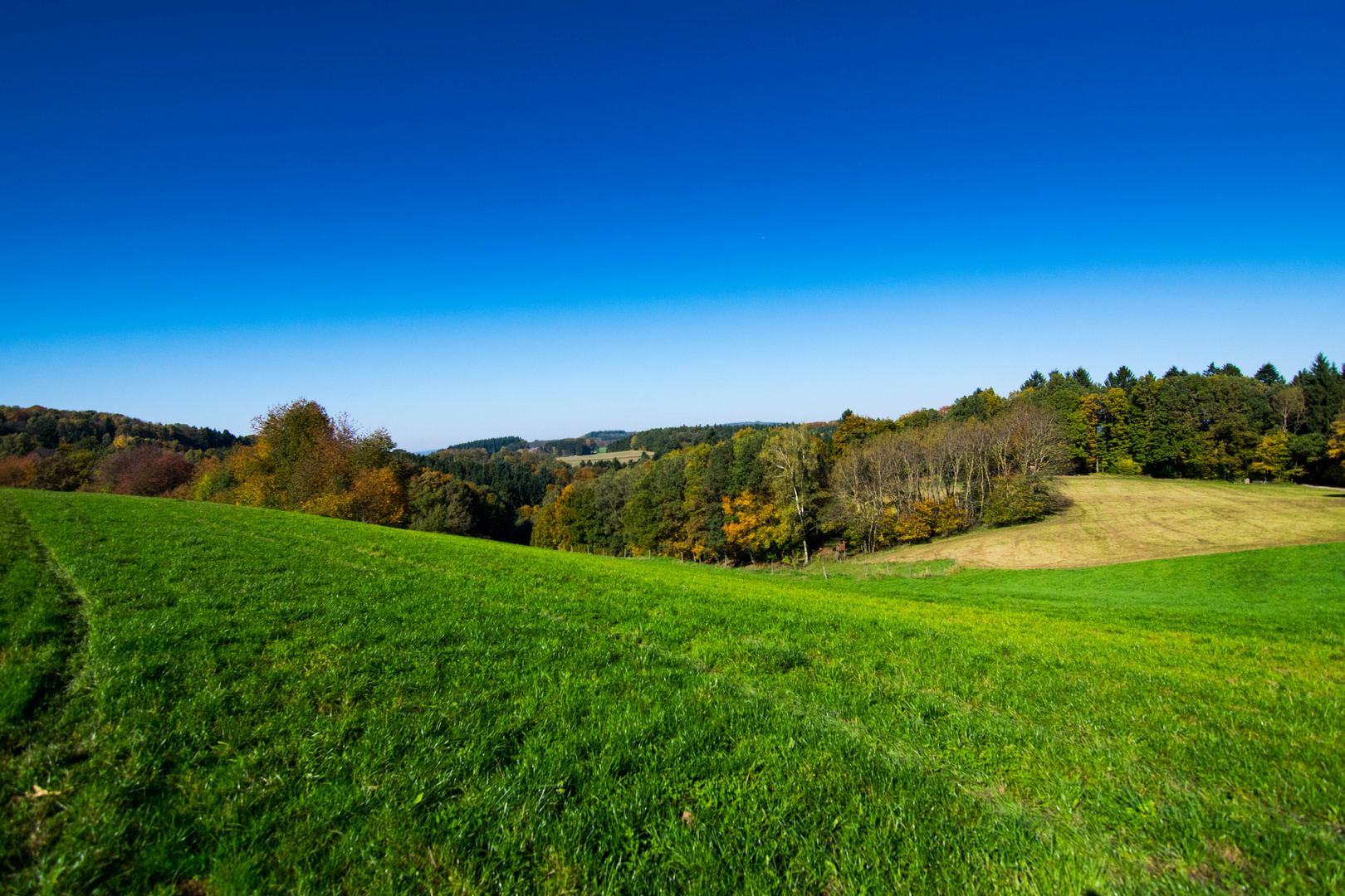 odenwald