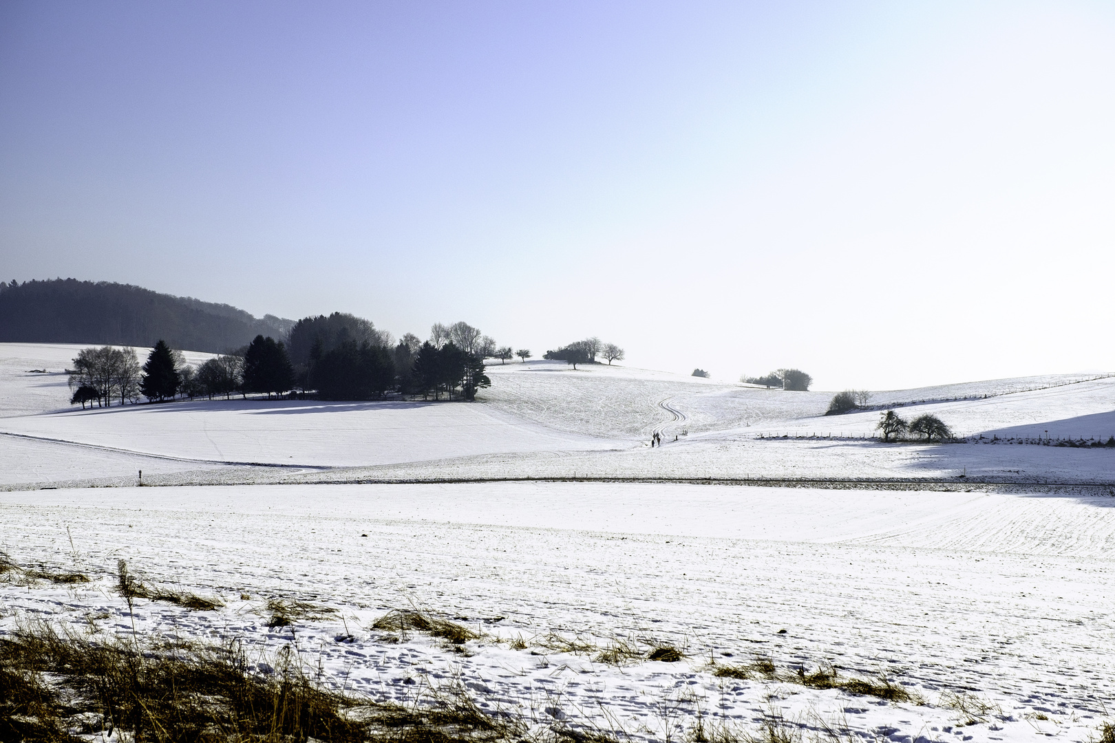 Odenwald