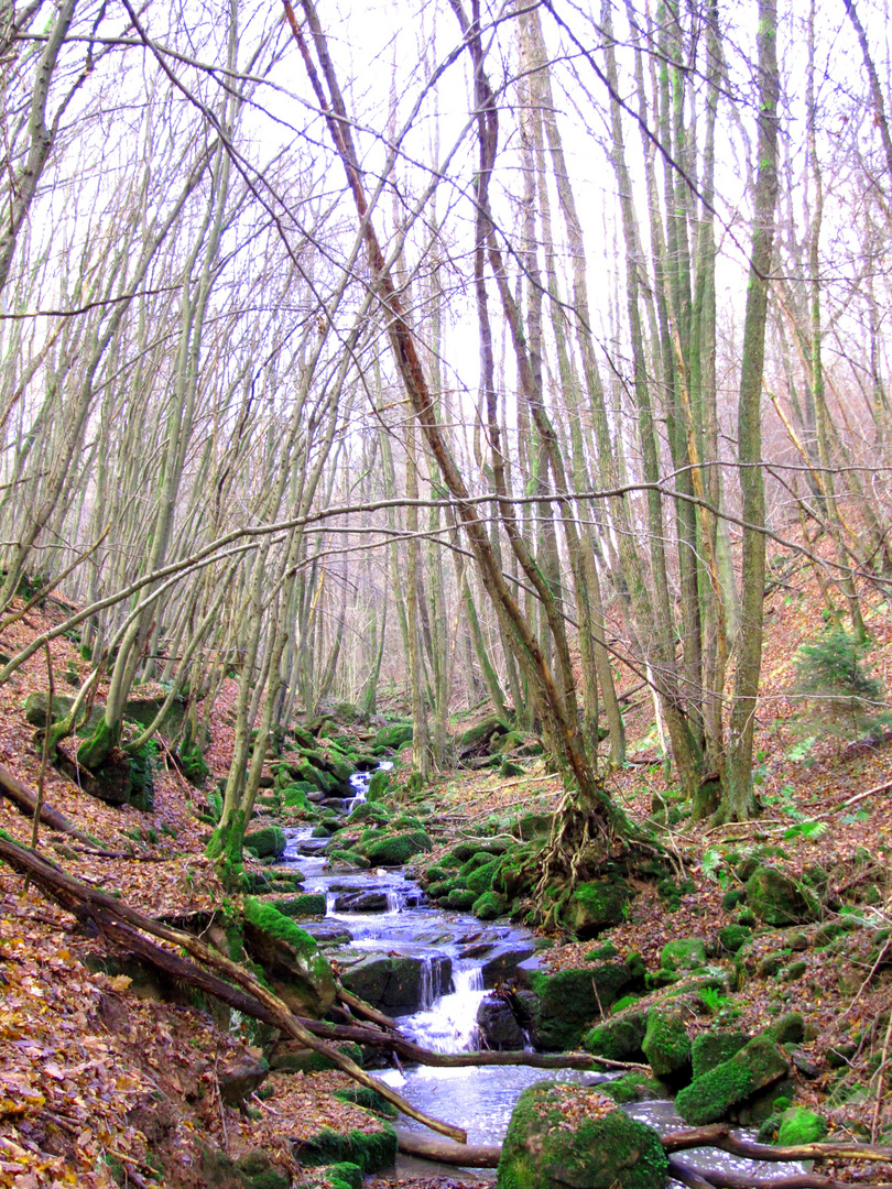 Odenwald