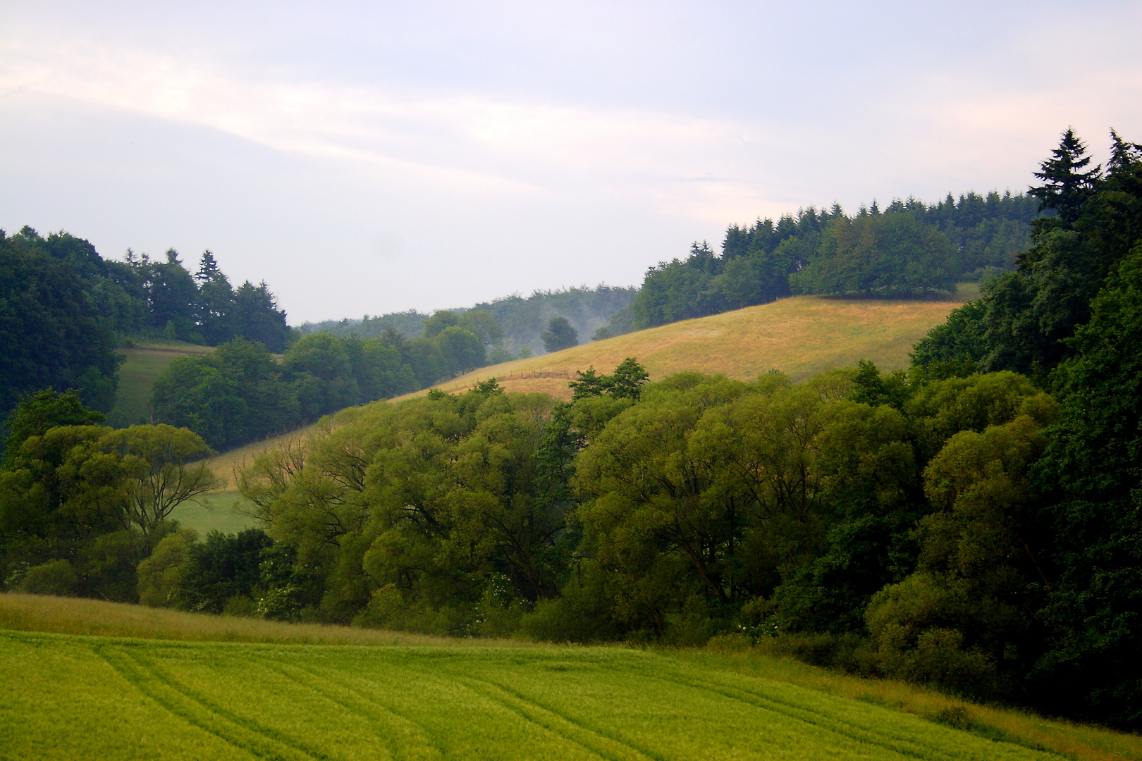 Odenwald