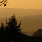 Odenwald am Nachmittag