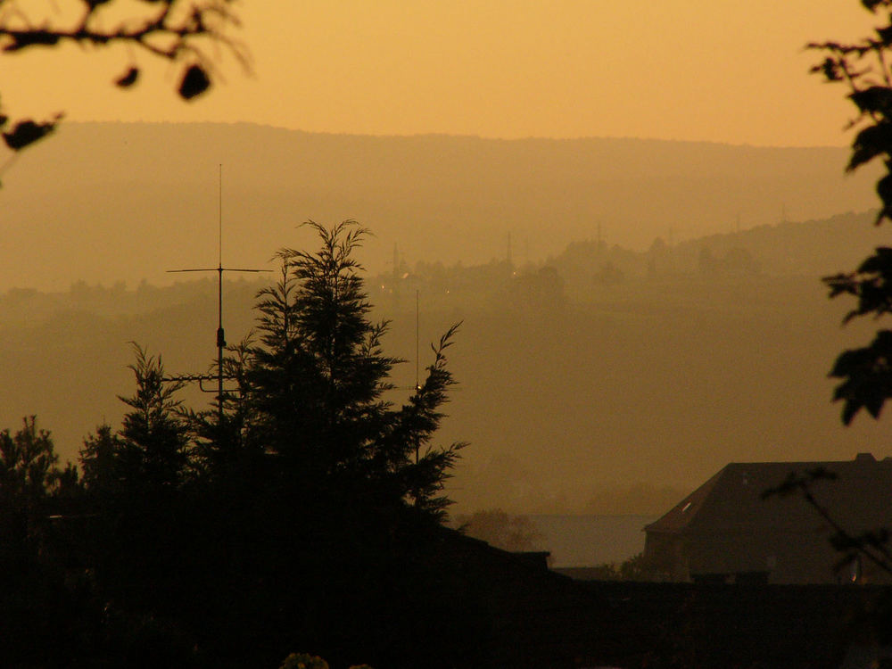 Odenwald am Nachmittag