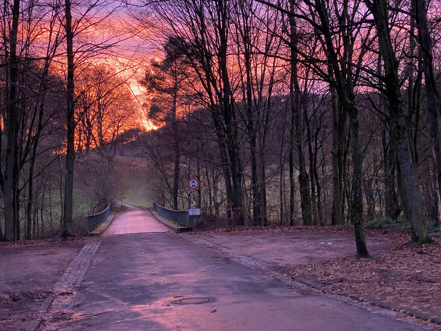 Odenwald bei Balkhausen nach Hochstetten 