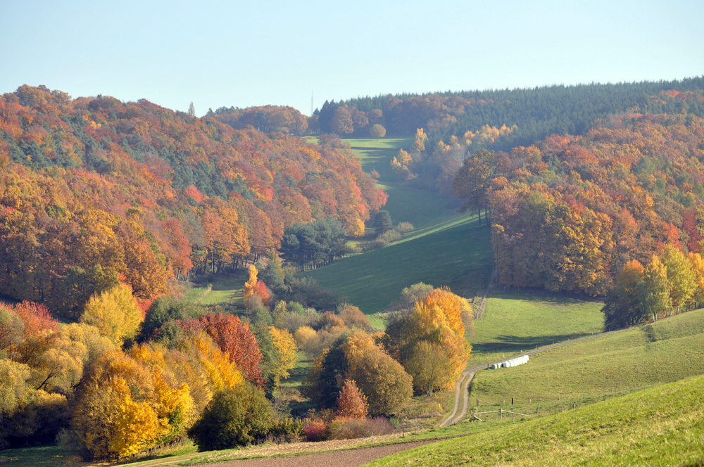 Odenwald bei Brensbach