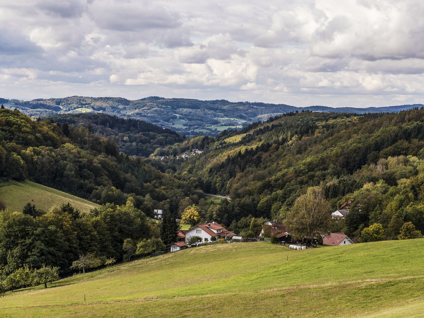 odenwald bei Kreidach