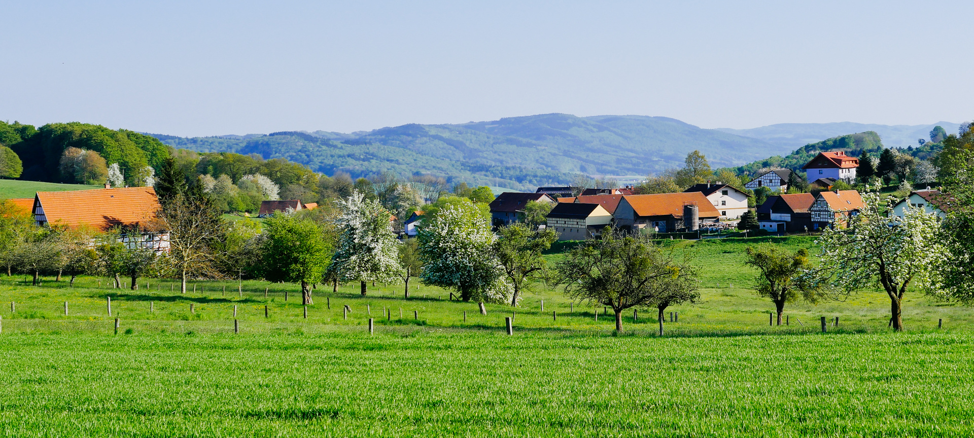 Odenwald bei Laudenau 2016