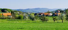 Odenwald