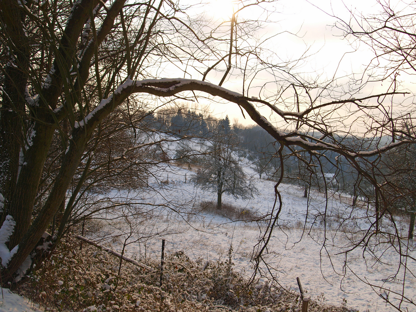 Odenwald