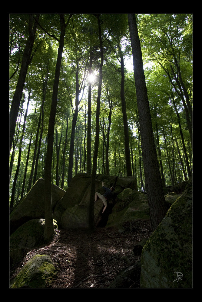 Odenwald die 1.