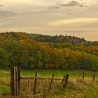 Odenwald Farben