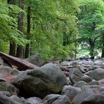 Odenwald - Felsenmeer in Lautertal Reichenbach