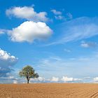 Odenwald Fototour - Naturpark Neckartal-Odenwald - Landschaft