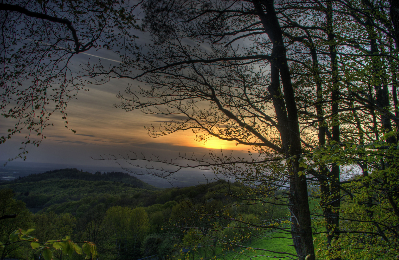 Odenwald Frühling 1/2 Std. später