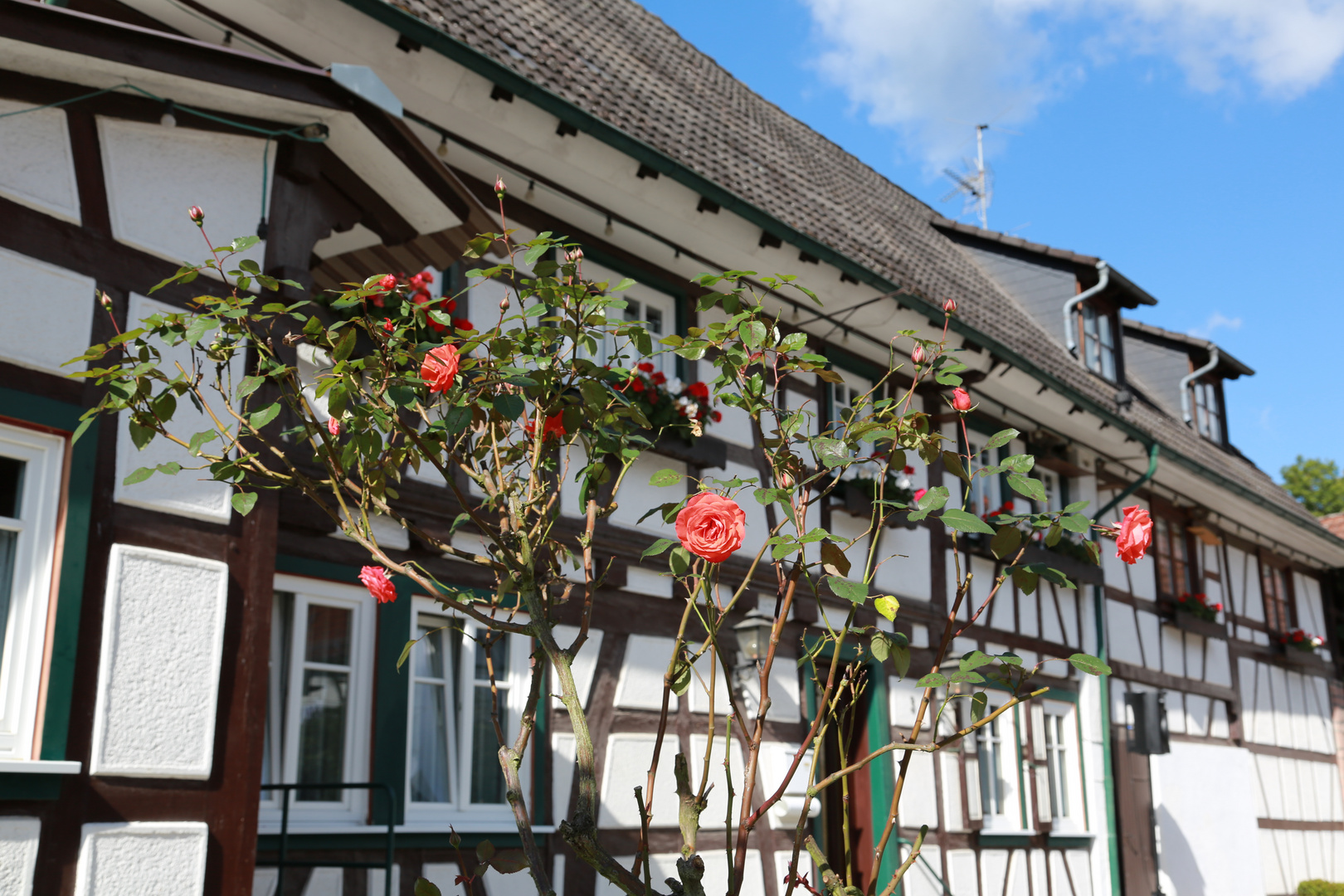 Odenwald Idylle