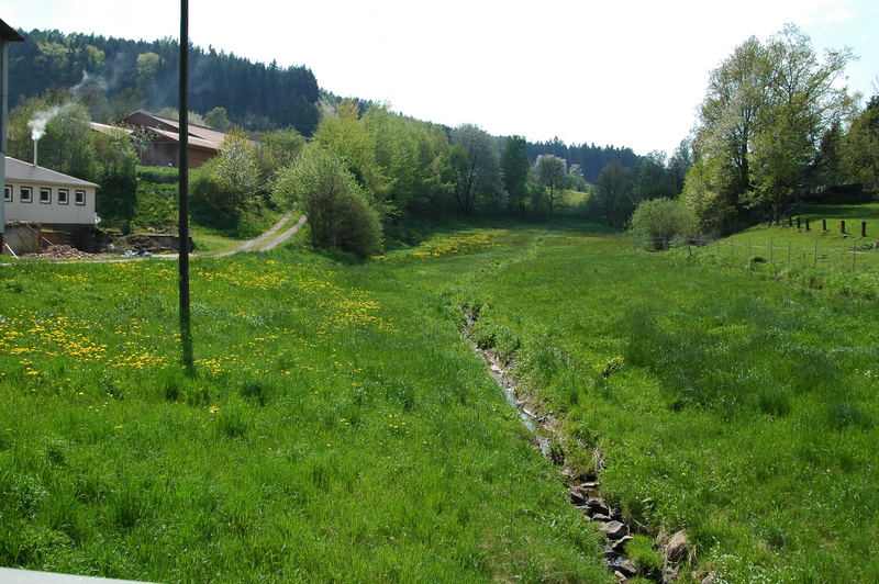 Odenwald Idylle