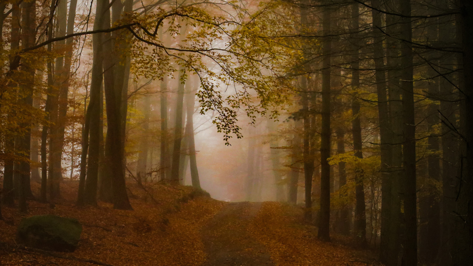 Odenwald im Herbst