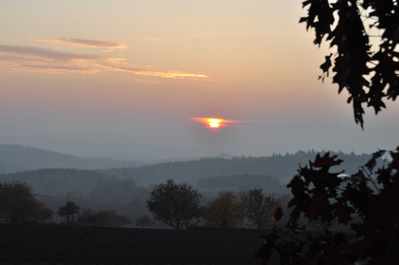 Odenwald im November