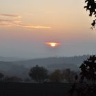 Odenwald im November