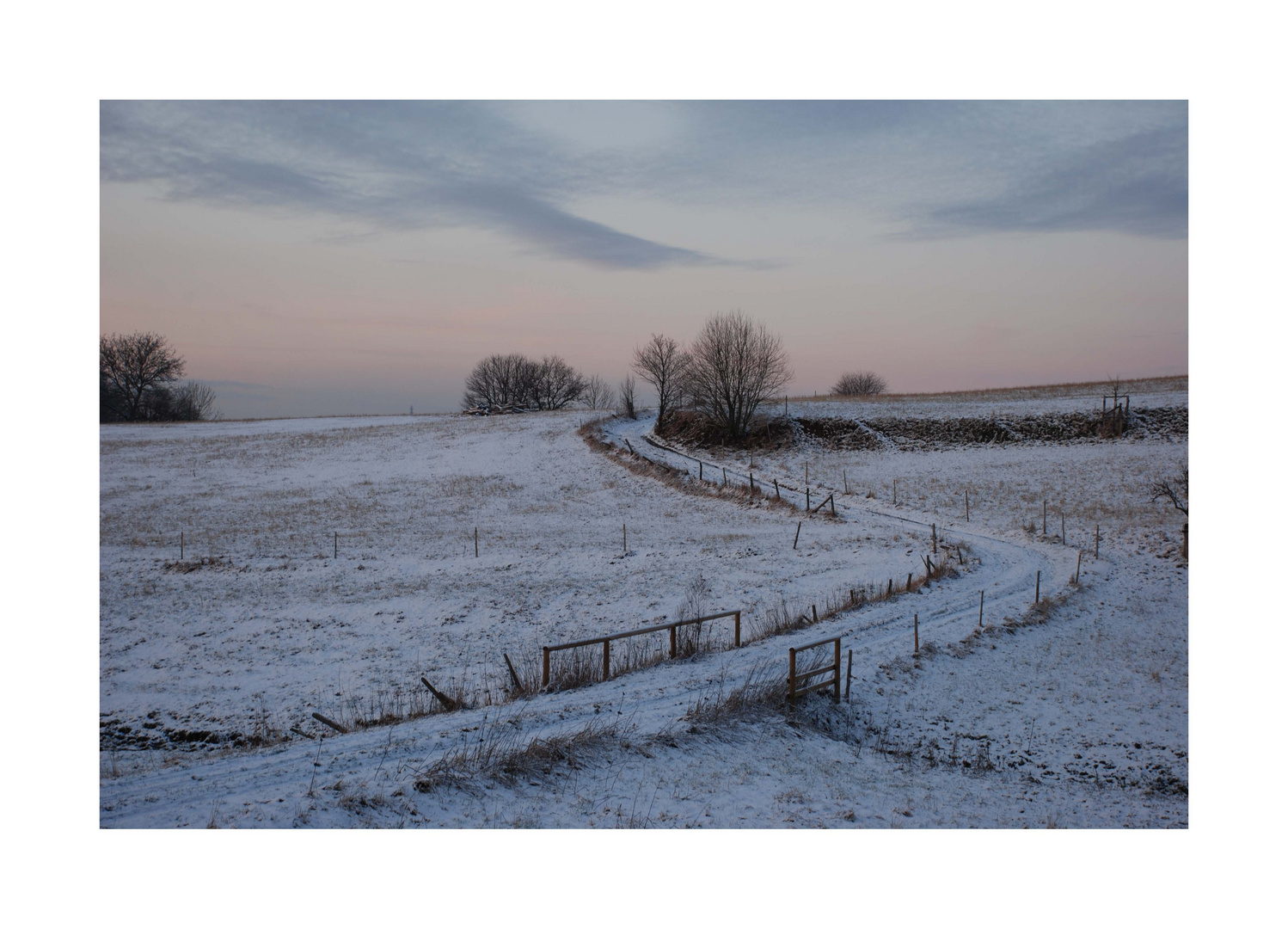 Odenwald im Schnee