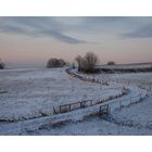 Odenwald im Schnee