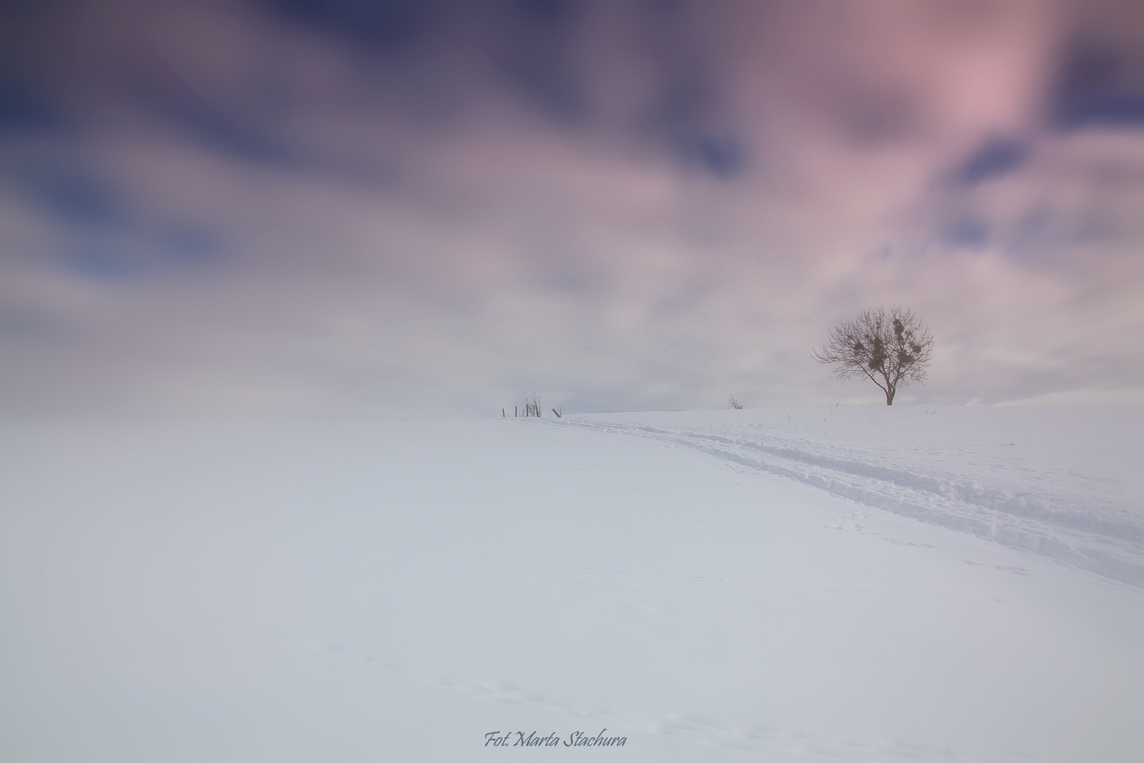 Odenwald im Schnee