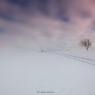 Odenwald im Schnee