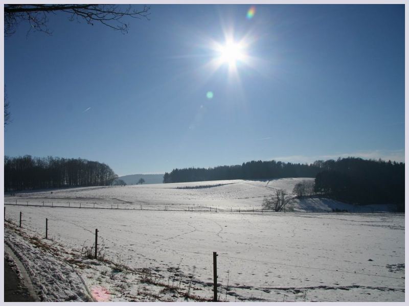 Odenwald im Winter