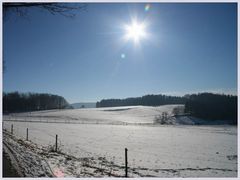 Odenwald im Winter