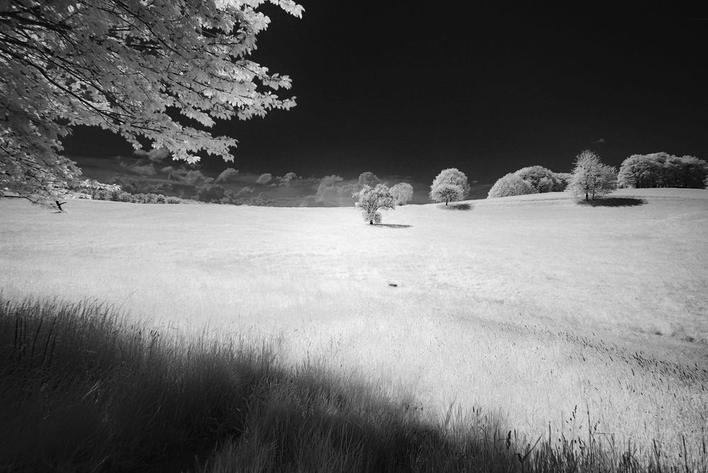 Odenwald IR SW