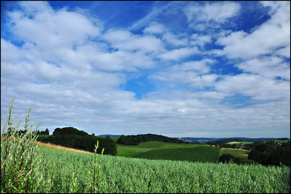 Odenwald, Klappe die Fünfhundertste :-)