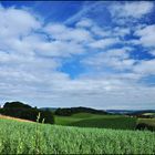 Odenwald, Klappe die Fünfhundertste :-)