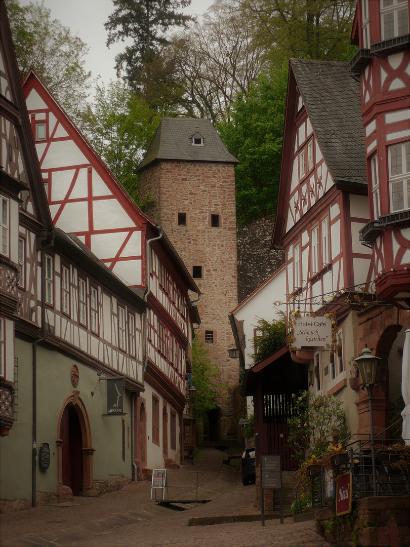 Odenwald  Miltenberg  "Durchblick zum Schnatterlochturm"