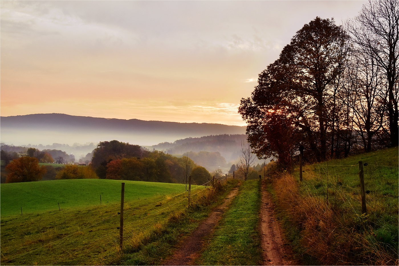 Odenwald - Morgen