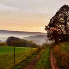 Odenwald - Morgen