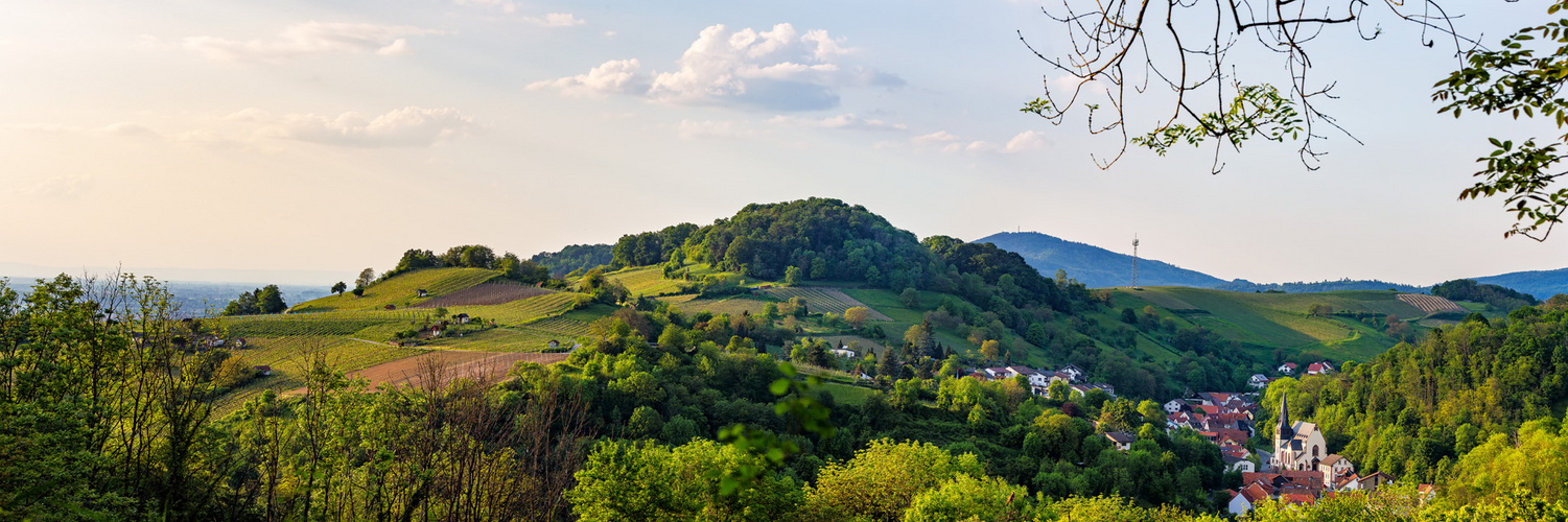 Odenwald Panorama