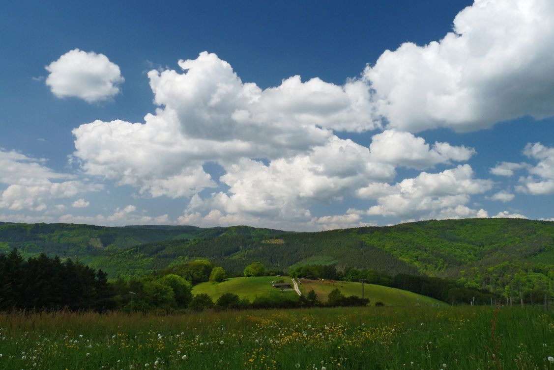 Odenwald Panorama von Kortelshütte