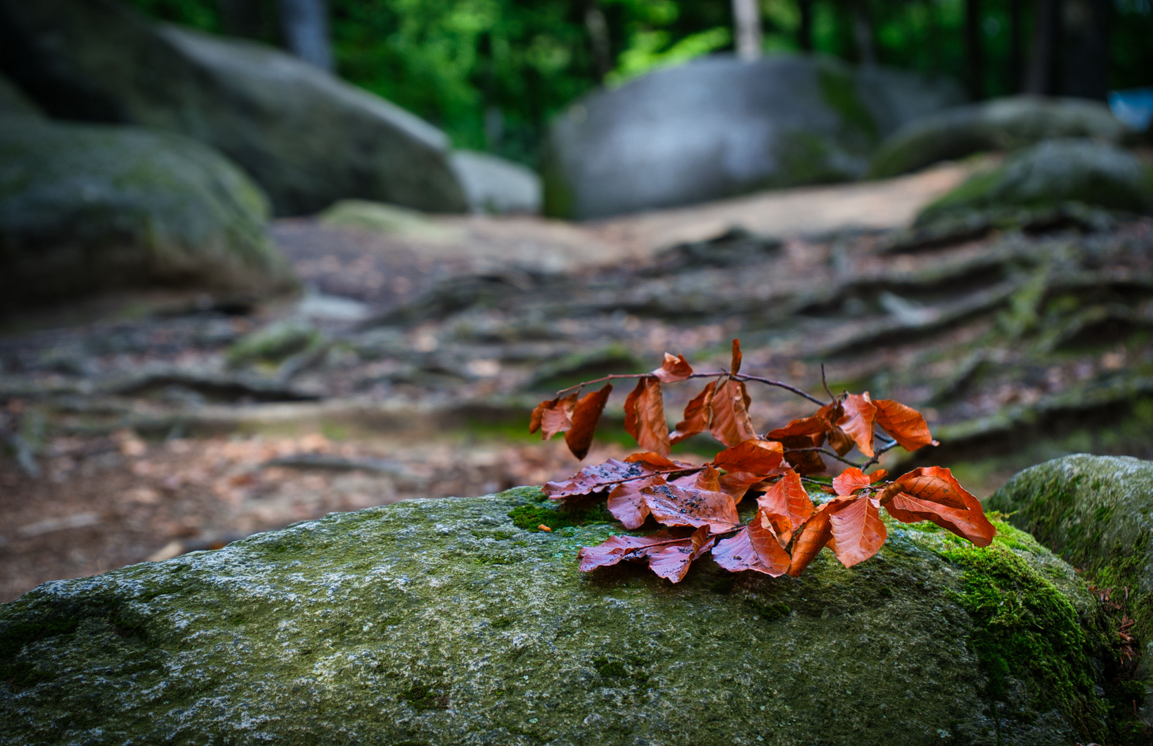 Odenwald Photoworkshop