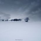 Odenwald versinkt im Schnee