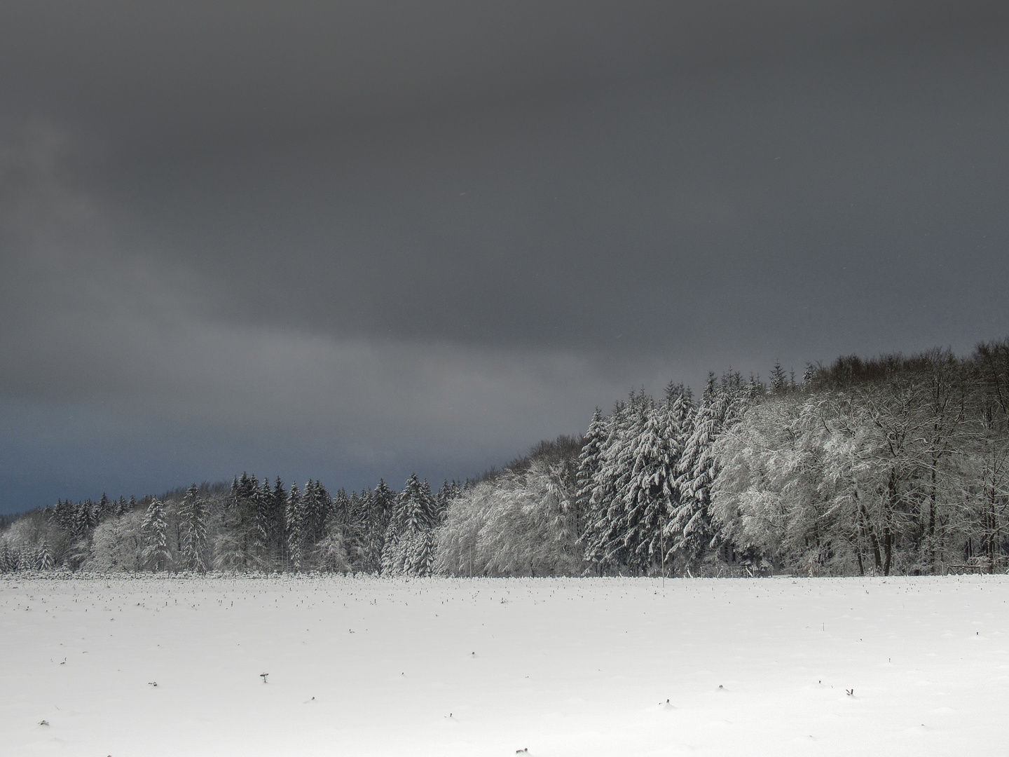 Odenwald-Winter