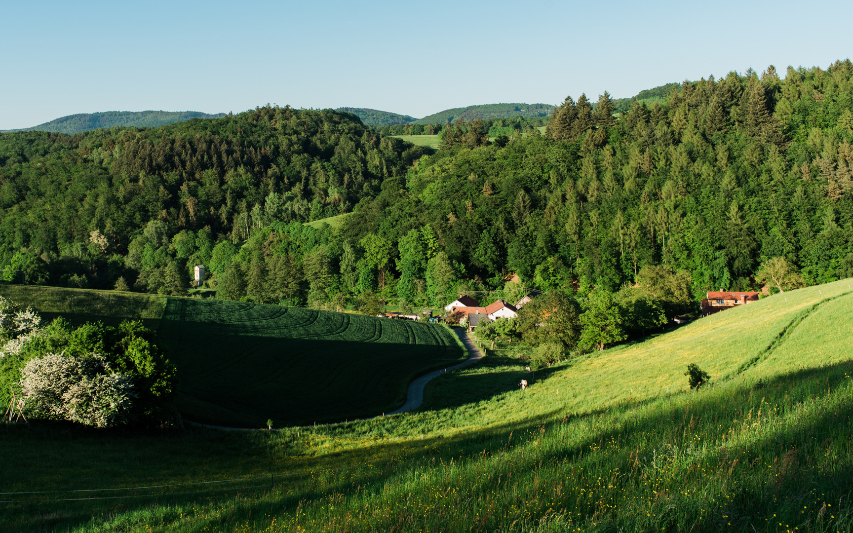 Odenwaldlandschaft bei Mörlenbach 2018