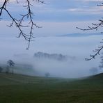 Odenwaldnebel - das ertrunkene Tal