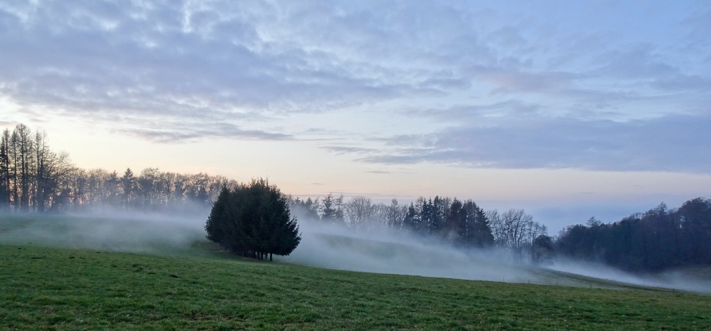 Odenwaldnebel - Nebel schleicht über die Wiesen