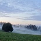 Odenwaldnebel - Nebel schleicht über die Wiesen