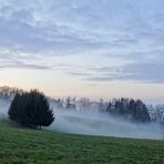 Odenwaldnebel - Nebel schleicht über die Wiesen