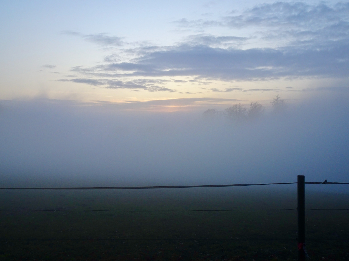 Odenwaldnebel - ... nur bis hier ...