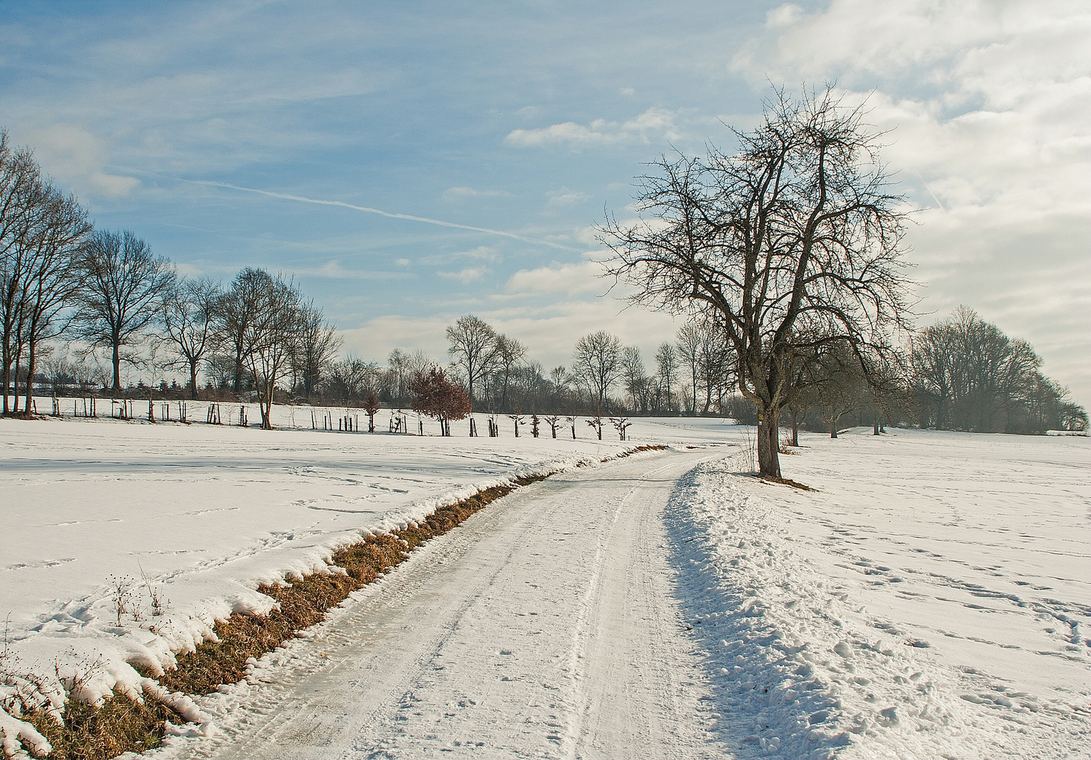 Odenwaldwinter