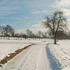 Odenwaldwinter