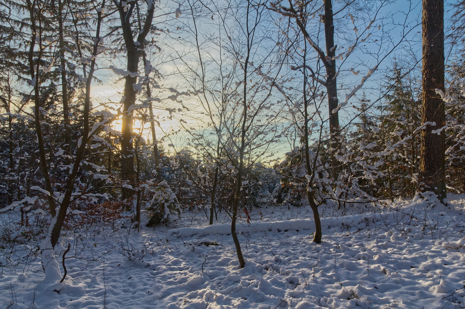 Odenwaldwinterabendstimmung